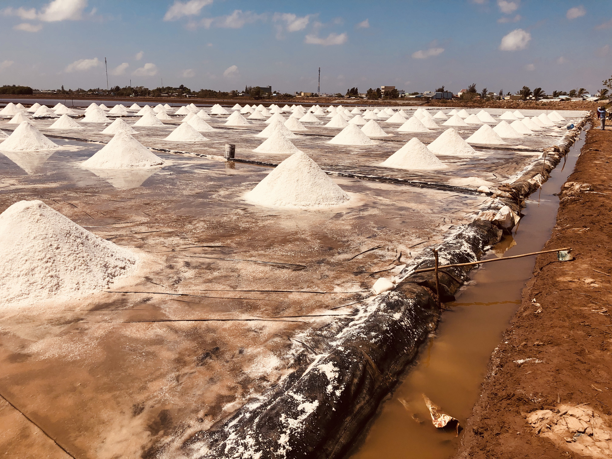 Vựa muối ở Bình Định