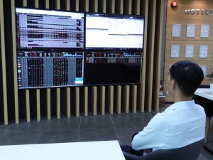 Thị trường chứng khoán Việt Nam liên tiếp lập đỉnh